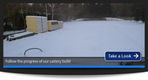 Progress on the Cattery