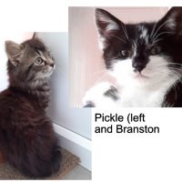 Branston and Pickle*