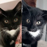 Scottie and Poppie
