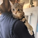 Phoebe, Apollo & Hermes