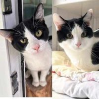 Mickey and Donald Mickey and Donald